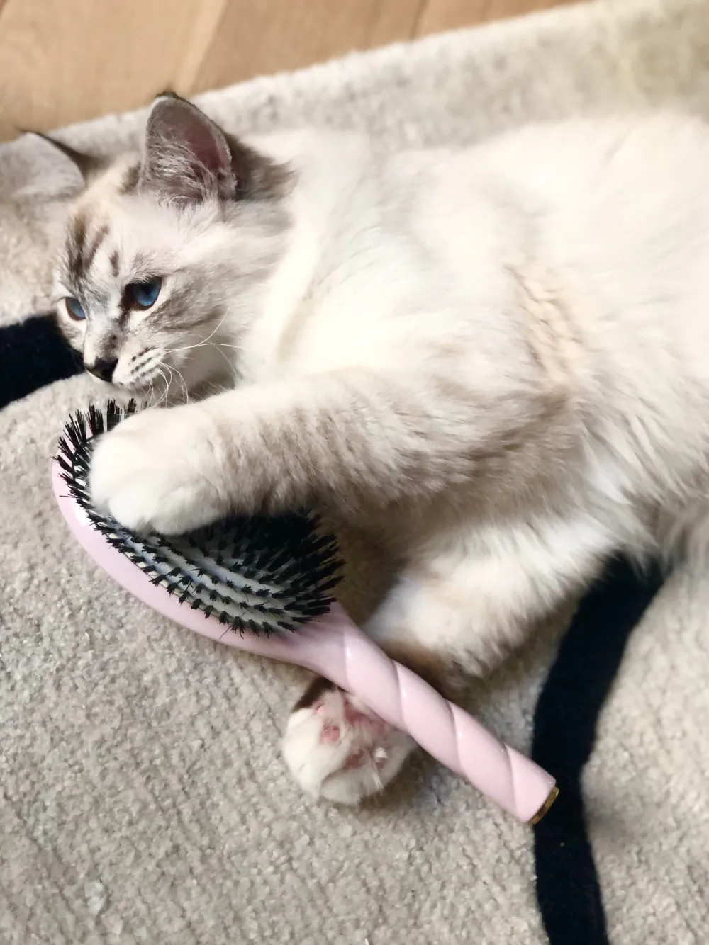 La Bonne Brosse Our Hair Brushes*N.01 The Shine & Care Hair Brush THE UNIVERSAL Pink