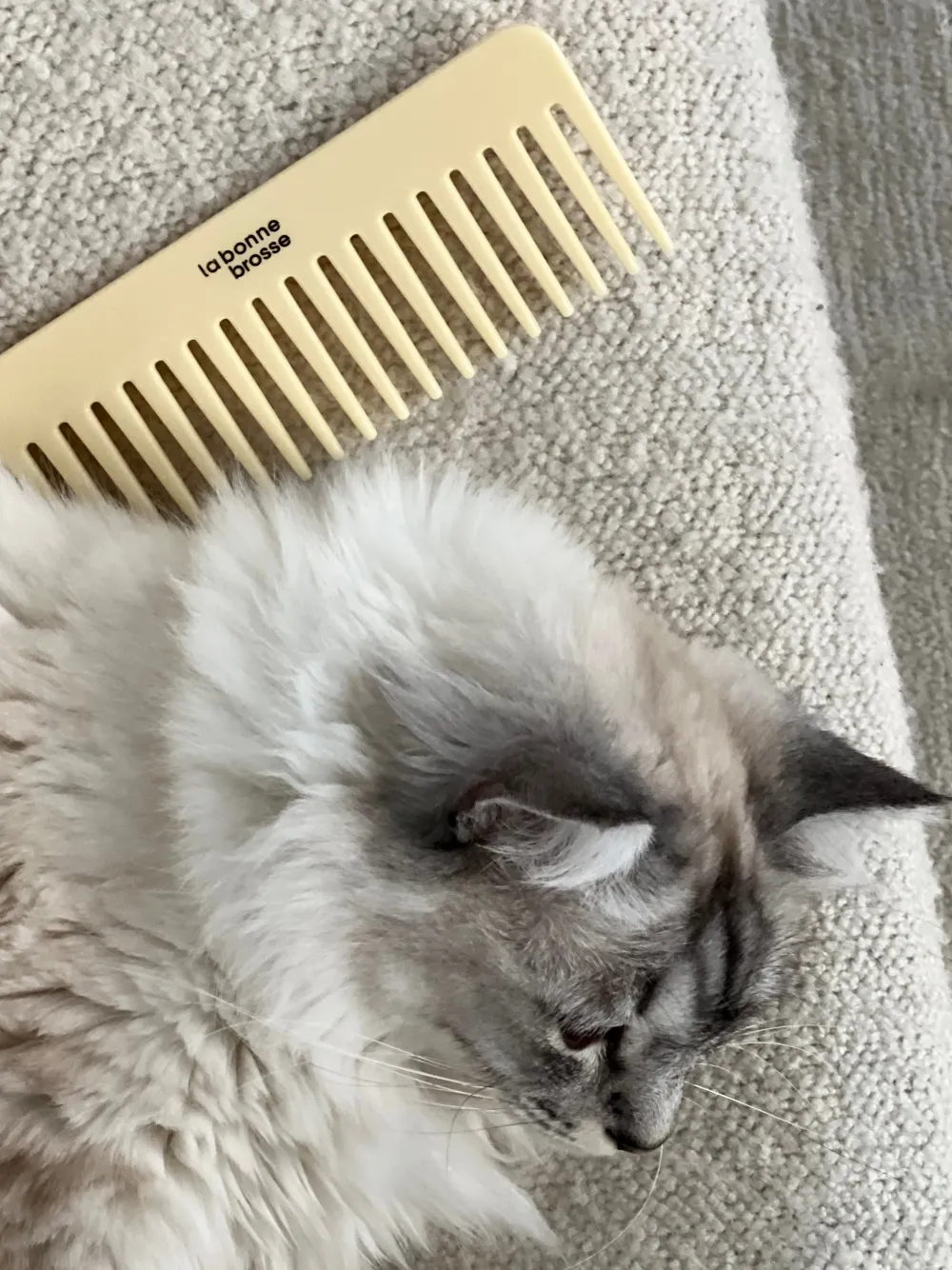 La Bonne Brosse Our Cair Ritual | Our Detangling Combs*The Large Detangling Comb in Acetate Ivory Cair